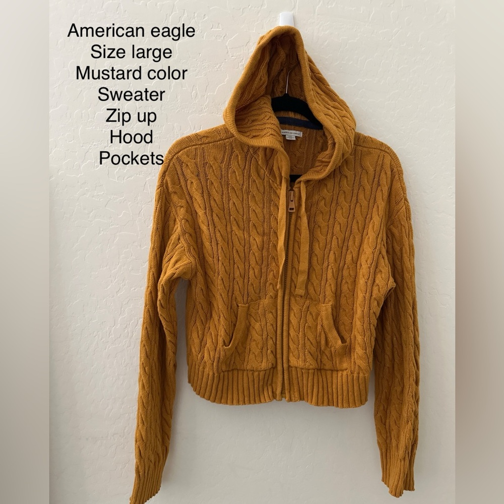 American eagle size large sweater hoodie